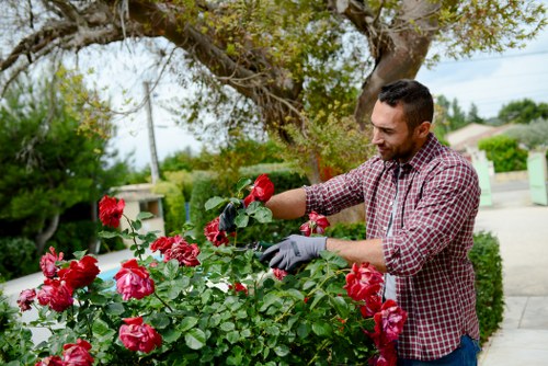 Gardener inspecting a Manor Park garden bed