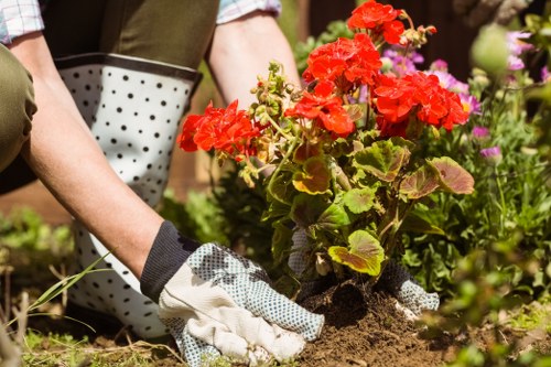 Notes and schedule for gardening service visit